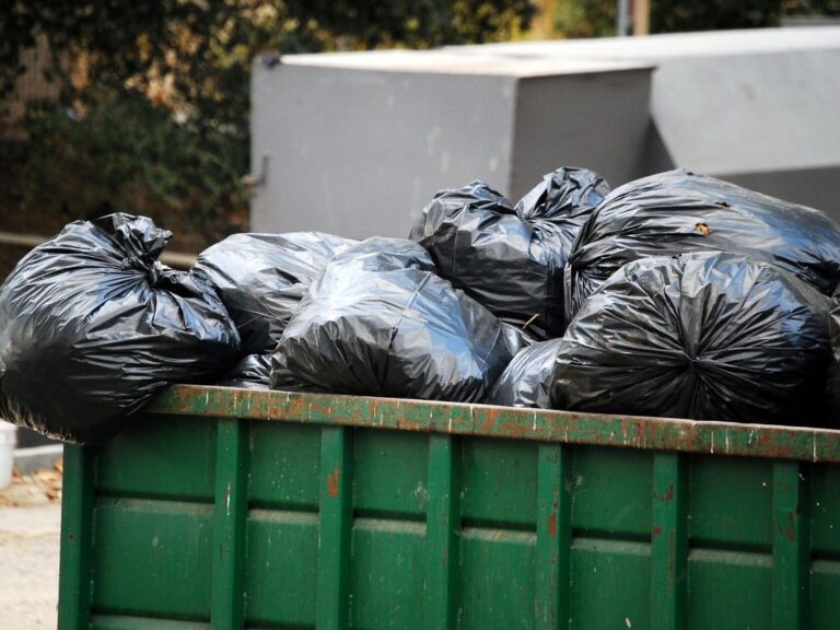 Garbage Bin Rental for a Home
