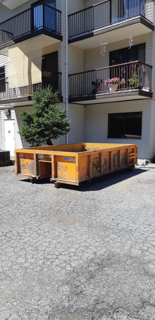 mini dumpster rental